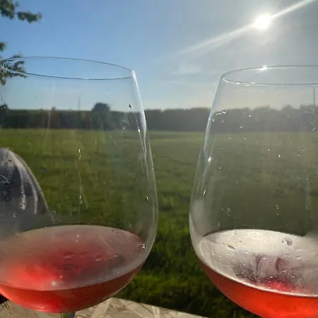Charmante Maison Rénovée, Terrasse, Vignes Et Borne De Recharge Hébergement de vacances